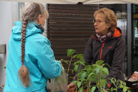 Zwei Frauen unterhalten sich. Verschiedene klien grüne Pflanzen stehen zwischen ihnen.