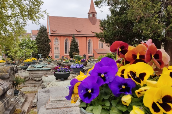 Ein Blumentopf und eine Kirche im Hintergrund