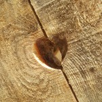 Ein Herz aus Holz