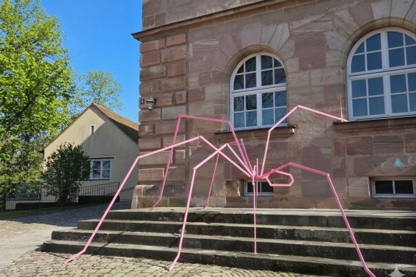 Zitterspinne in pink vor dem Zeltnerschloss platziert