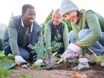 Foto von 3 Personen. Die Personen pflanzen gerade einen kleinen Strauch ein. Die Personen lachen., Bild © Nicholas F/peopleimages.com / stock.adobe