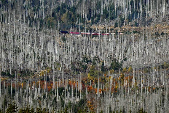 Gesamtsieger Pressefoto Bayern 2025: Lichtblick.
