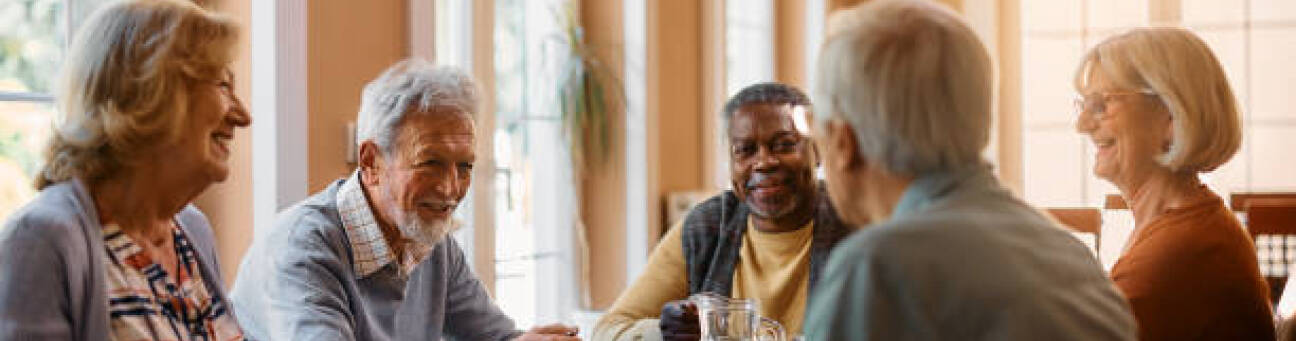 Group of senior people enjoying in conversation during lunch at dining table at nursing home., Bild © Drazen Zigic