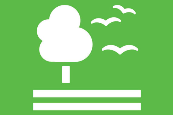 SDG 15 Leben an Land