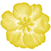 Eine gezeichnete, runde, leuchtend gelbe Blume mit sieben Blütenblättern.