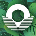 11 x Grün Logo