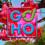 Logo des GOHO Upcycling Festivals