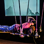Ein Junge liegt mit einer VR-Brille auf zwei an Seilen hängenden Stangen, während im Hintergrund die Projektion eines fliegenden Vogels zu sehen ist.