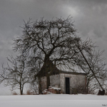 Ein ländliches kleines Haus vor einem Baum in einer verschneiten Landschaft