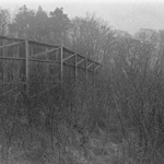 Graustufige Fotografie einer Brücke am Waldrand. Im Vordergrund wachsen trockene Gräser und Sträucher, dahinter ragen kahle Bäume in den nebligen Himmel.