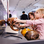 Ein Mädchen in rosa Oberteil berührt in einem Museum einen Schädel auf einem Tisch, umgeben von weiteren Schädelmodellen. Im Hintergrund lächelt eine Frau, andere Menschen sind unscharf zu sehen.