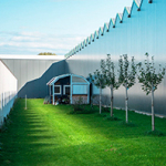 Schmaler Grünstreifen zwischen zwei hohen Hallenwänden mit gepflegtem Rasen, einer Reihe junger Obstbäume rechts und einem kleinen weißen Holzhaus mit Fensterläden am Ende der Wiese.