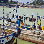 Mehrere Fischerboote mit Personen an Bord auf ruhigem Wasser vor einer Küstenlinie mit Gebäuden und Palmen
