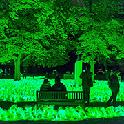 Der grün illuminierte Burggarten während der Blauen Nacht