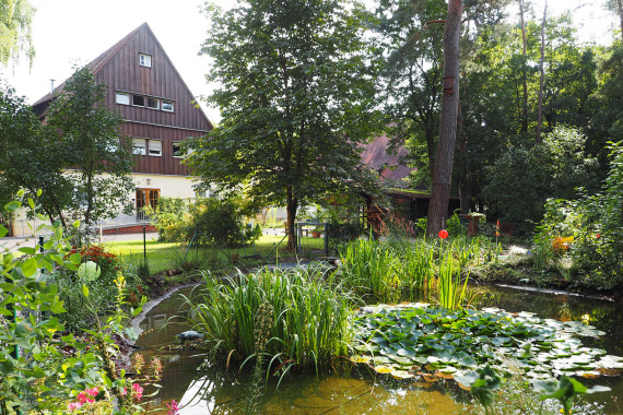 Teich mit aufwändig gestalteter Uferbepflanzung am August-Meier