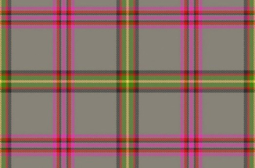 Tartan zum 40. Jubiläum der Städtepartnerschaft Nürnberg - Glasgow © privat