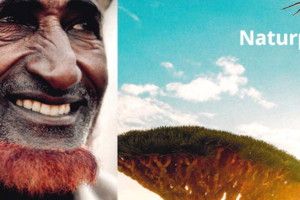 Flyer zur  Ausstellung "Soqotra - Naturparadies zwischen Tradition und Moderne"