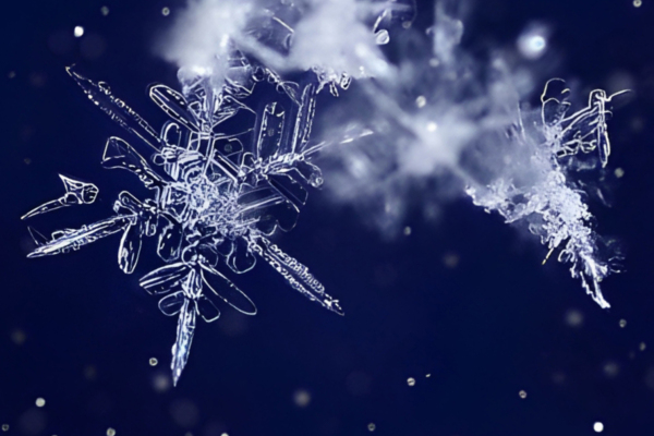 Motiv zur Weihnachtsaktion 2025 im Krakauer Haus