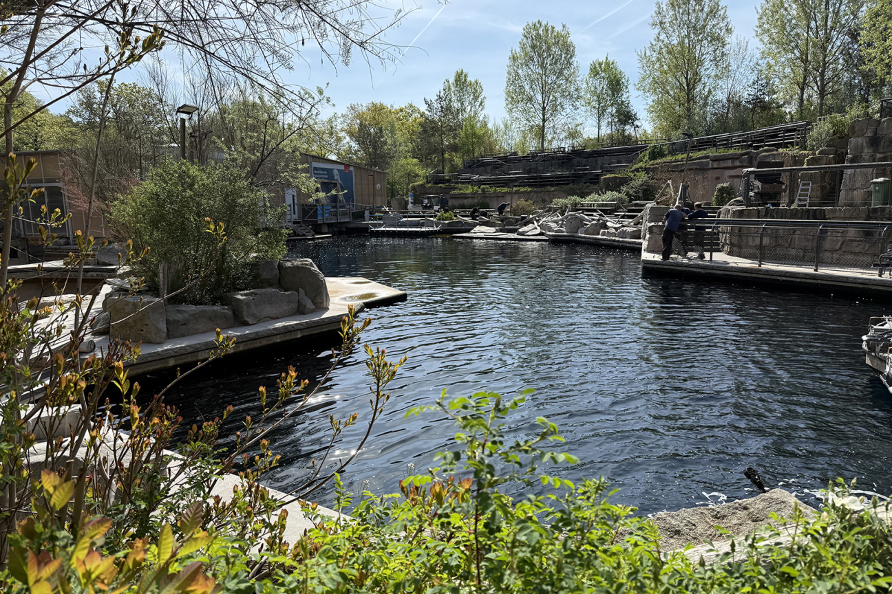 Bild © Anna Böhm / Tiergarten Stadt Nürnberg Das Becken 2/3 der Delfinlagune im Tiergarten der Stadt Nürnberg. Ab Montag, 28. April 2025, wird es zusammen mit den Becken 4 und 5 saniert - daher gibt es auch Änderungen für die Gäste., Bild © Anna Böhm / Tiergarten Stadt Nürnberg