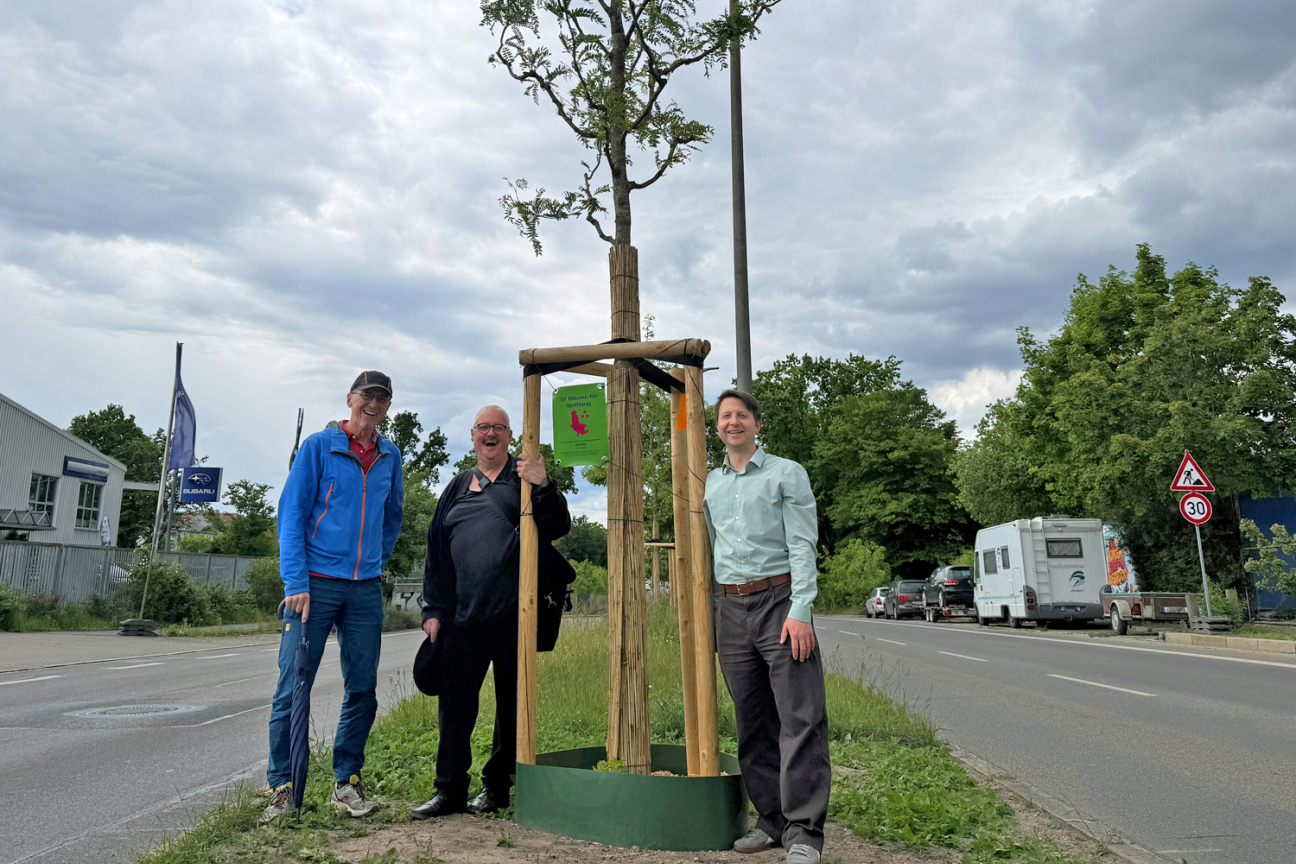 Von links nach rechts: Kunstkäufer Peter Müller-Hillebrandt, Künstler Karsten Neumann und Sör-Stadtbaummanager Florian Demling am Spendenbaum am Nordring in Nürnberg., Bild © Kathrin Lehnerer / Stadt Nürnberg
