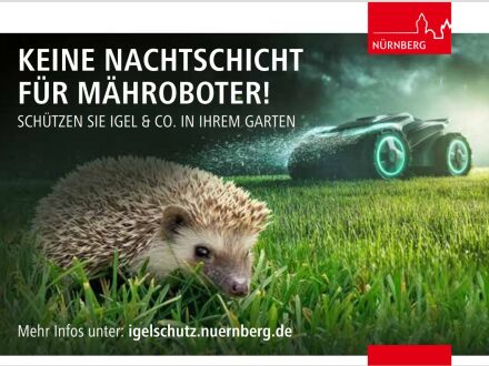 Bild © Referat für Umwelt und Gesundheit der Stadt Nürnberg Info·post·karte zu der Aktion: Igel schützen., Bild © Referat für Umwelt und Gesundheit der Stadt Nürnberg