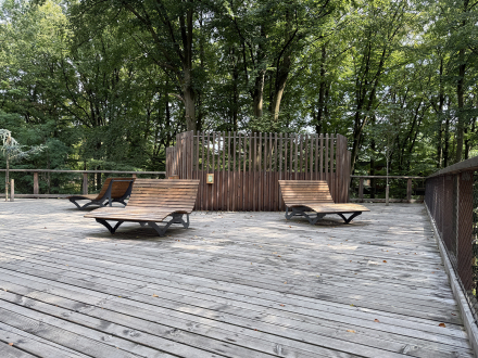 Bild © Tiergarten Nürnberg/Anna Böhm Foto: Ein Teil vom Klima·wald·pfad im Tier·garten Nürnberg., Bild © Tiergarten Nürnberg/Anna Böhm