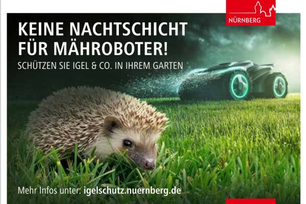Nachtaktive Mähroboter: eine tödliche Gefahr für Igel. Infopostkarten der aktuell laufenden Kampagne klären auf, Igel zu schützen.
