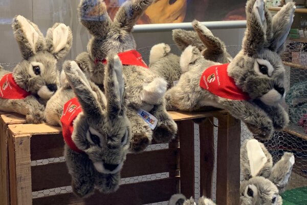 Die Hasen sind los – fairer Kuschelhase "Albrecht" fürs Osternest: Schaufenster mit Kuschelhasen "Albrecht" und einem Selbst-Portrait von Albrecht Dürer.