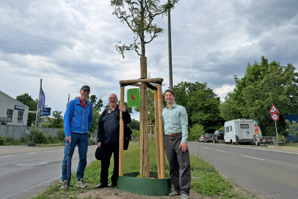 Von links nach rechts: Kunstkäufer Peter Müller-Hillebrandt, Künstler Karsten Neumann und Sör-Stadtbaummanager Florian Demling am Spendenbaum am Nordring in Nürnberg.