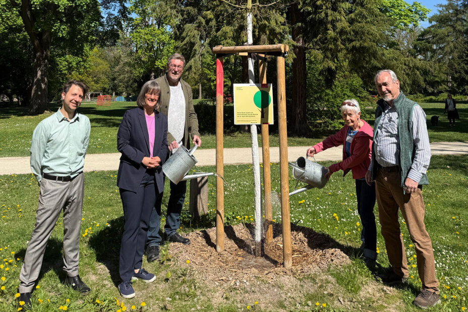 Zum Tag des Baums am Samstag, 25. April 2026, wurde im Nürnberger Stadtpark feierlich eine „Weidenblättrige Eiche“ am Ost-Eingang des Stadtparks gepflanzt und getauft. Von links nach rechts: Florian Demling, Sör-Stadtbaummanager, Britta Walthelm, Referentin für Umwelt und Gesundheit, Ronald Höfler, kaufmännischer Werkleiter Sör, Mathias-Kai Schmidt, Bund Naturschutz, und Margit Grüll von der Bäume für Nürnberg Stiftung.