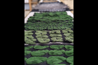 Bild Einblicke in die Textilwerkstatt.