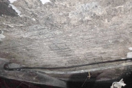 Bild Ein Fahrzeugbrand hat am Donnerstag, 9. Juli 2026, gravierende Schäden an der Theatergarage am Richard-Wagner-Platz in Nürnberg verursacht. Die Schäden, wie hier die Betonabplatzungen an der Garagendecke, sind massiv. Das Parkhaus kann derzeit nicht betreten werden.