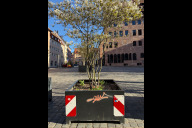 Bild Ein Baumkübel am Sebalder Platz vor der Folierung.