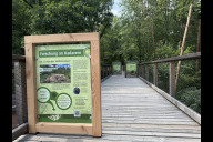 Bild An der neuen Infostation auf dem Klimawaldpfad können Gäste mehr über den hohen ökologischen Wert von Aas und die Forschung des Tiergartens in diesem Bereich erfahren.