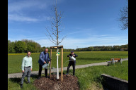 Bild Von links nach rechts: Sör-Stadtbaummanager Florian Demling befestigte am Dienstag, 28. April 2026,  gemeinsam mit dem Bürgermeister und Ersten Sör-Werkleiter Christian Vogel und dem Spender Dr. Manfred Scholz das Spendenschild am Baum in der Koppenhofer Straße. Die neu gepflanzte Rot-Eiche wurde dabei symbolisch mit frischem Wasser aus der Rednitz getauft.