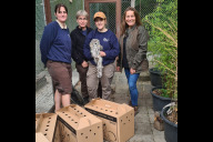 Bild Von links: Revierleiterin Susann Müller, Tierpflegerin Christiane Thiere, Tierpflegerin Leonie Bühler und Michaela Domeyer, Fachkraft für Naturschutz beim Verein für Landschaftspflege, Artenschutz & Biodiversität e. V. (VLAB), bei der Abholung der Habichtskäuze im Tiergarten Nürnberg.