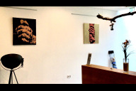 Bild Eine neue Ausstellung in den Räumen des Langwasserbads zeigt Kunstwerke, die Künstlerinnen und Künstler der Gruppe Chroma Omada der Noris Inklusion geschaffen haben.