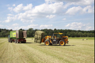 Bild Heuernte im Tiergarten: Auf Gut Mittelbüg, seiner Außenstelle mit biozertifizierter Landwirtschaft, produziert der Tiergarten einen Großteil des Grünfutters für seine Pflanzenfresser selbst. Die Aufnahme ist von 2024.