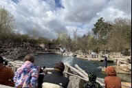 Bild Die Delfinlagune im Tiergarten Nürnberg hat nach erfolgreicher Sanierung wieder geöffnet. Die Großen Tümmler sind wieder in den Außenbecken zu sehen. 

