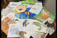 Bild 735 Kinder und Jugendliche hatten am ersten Ferientag ein selbst gemaltes Bild abgegeben und so freien Eintritt in den Tiergarten Nürnberg erhalten. Hier eine kleine Auswahl der Kunstwerke. Am letzten Tag der bayerischen Sommerferien wiederholt der Tiergarten die Aktion.