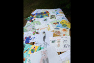 Bild Bereits am ersten Ferientag hatten viele Kinder ein selbstgemaltes Bild abgegeben und so freien Eintritt in den Tiergarten Nürnberg erhalten. Hier eine kleine Auswahl der Kunstwerke. Am letzten Tag der bayerischen Sommerferien wiederholt der Tiergarten die Aktion. 