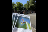 Bild Welche kognitiven Leistungen Tiere vollbringen können und wie sich diese auf ihr Verhalten auswirken, ist Thema der neuen Ausgabe des manatimagazin© des Tiergartens der Stadt Nürnberg und des Vereins der Tiergartenfreunde Nürnberg e.V. 