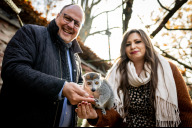 Bild Als besondere Überraschung durfte die millionste Tiergartenbesucherin die Kronenmakis füttern.