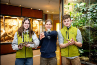 Bild Victoria Zimmermann, Nele Fehling und Ferdinand Schmid (von links) machen ein Freiwilliges Ökologisches Jahr im Tiergarten Nürnberg.