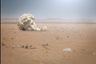 Bild Mojave-Wüste mit David, USA 2014, CGI-Backplane, © Michael Jostmeier