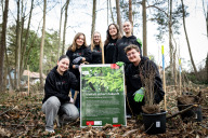 Bild Ziel der Baumpflanzungen ist es, die heimischen Wälder für den Klimawandel zu rüsten. Zu den Maßnahmen gehört unter anderem, gezielt Baumarten zu pflanzen, die mit dem kommenden Klima gut zurechtkommen. Die Auszubildenden der Sparkasse pflanzten hier unter anderem Flaum- und Zerreichen.