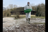 Bild Futtermeister Gerd Schlieper behandelt die Flamingo-Anlage im Tiergarten der Stadt Nürnberg mit Branntkalk, um eventuell dort vorhandene Vogelgrippe-Viren unschädlich zu machen. Nach einer neuerlichen Beprobung der Vogelbestände des Tiergartens öffnet die Einrichtung ab Dienstag, 11. Februar 2025, ihre Tier- und Vogelhäuser wieder.  