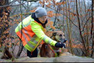 Bild Beim Monitoring kam erstmals auch ein Artenspürhund zum Einsatz. Rena Siegerist konfrontierte ihren Hund Ip mit Duftproben von Eremiten-Larven, dieser spürte dann Bäume auf, in denen potentiell Eremiten vorkommen.