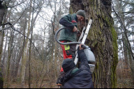 Bild Mit einem speziellen Staubsauger saugten die Fachleute den Mulm vorsichtig aus der Höhle und ließen ihn anschließend durch ein Sieb rieseln.
