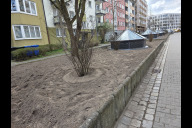 Bild Nach der Erneuerung der Lichtkuppeln des U-Bahnhofs Rennweg werden die Hochbeete für die Pflanzung von Stauden, Gräsern und Blumenzwiebeln vorbereitet.